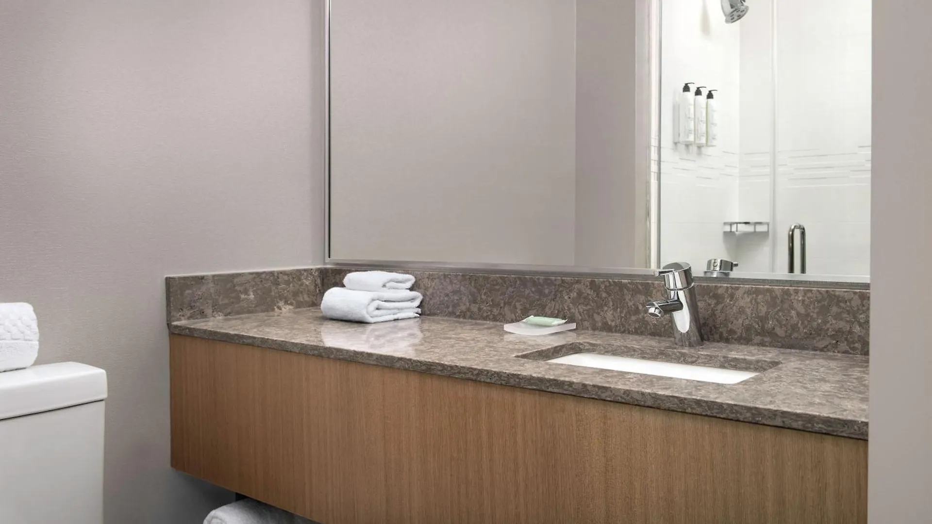 Springhill Suites By Marriott New York Queens 3*,